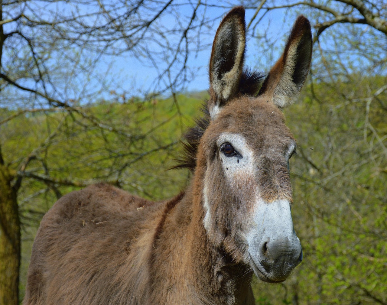 당나귀p2p다운로드프로그램